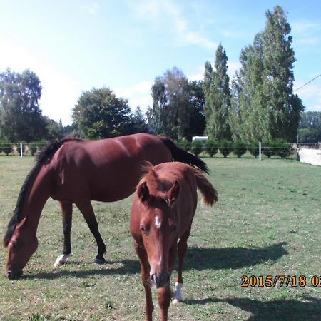 La Vieux Ville Tregomeur Luaran gambar