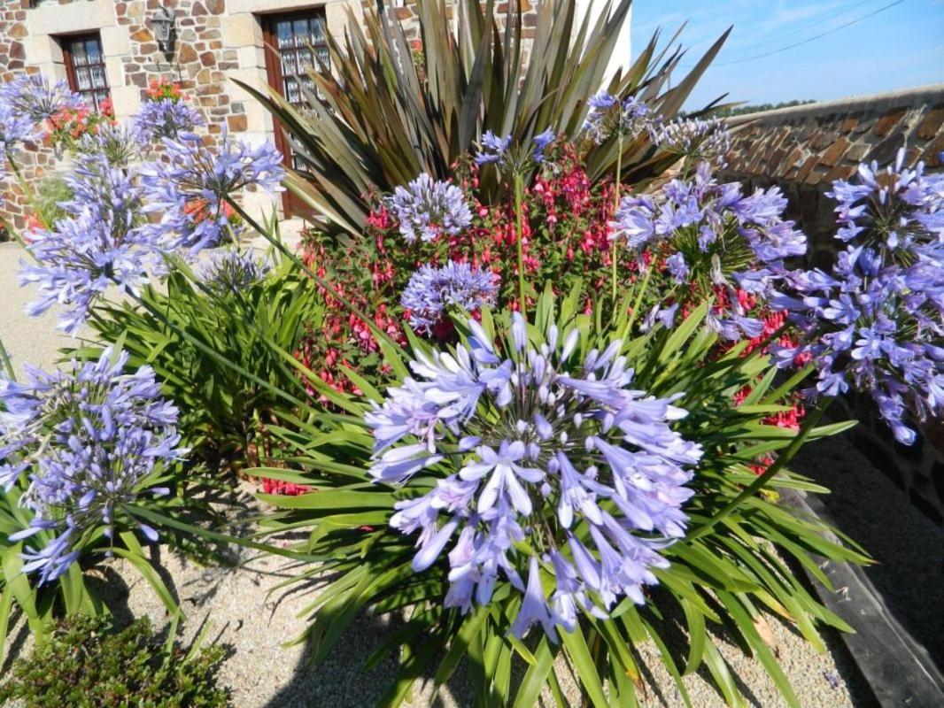 La Vieux Ville Tregomeur Luaran gambar
