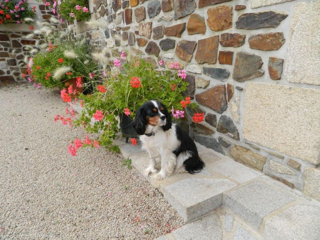 La Vieux Ville Tregomeur Luaran gambar